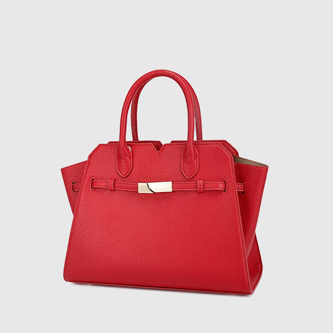 large-capacity-birkin-commuter-handbag-for-women-2