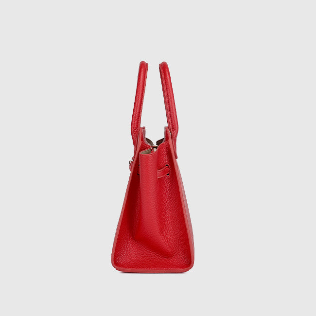 large-capacity-birkin-commuter-handbag-for-women-3
